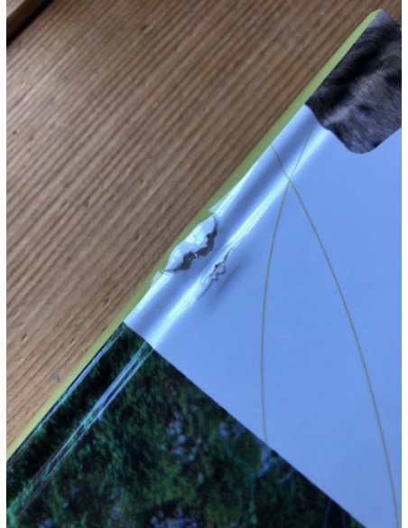 Le Lynx boréal, exemplaire soldé