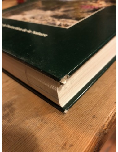 Papillons de jour et leurs biotopes I