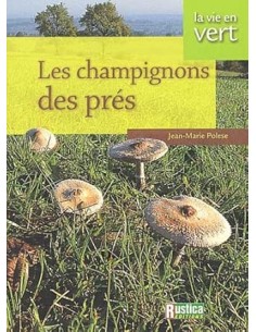 Les champignons des prés