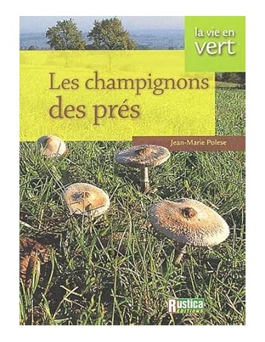 Les champignons des prés