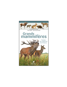 Miniguides nature - Grands mammifères