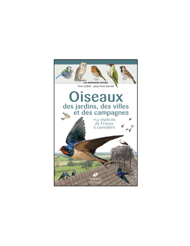 Miniguides nature - Oiseaux des...