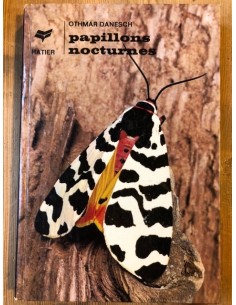 Papillons nocturnes