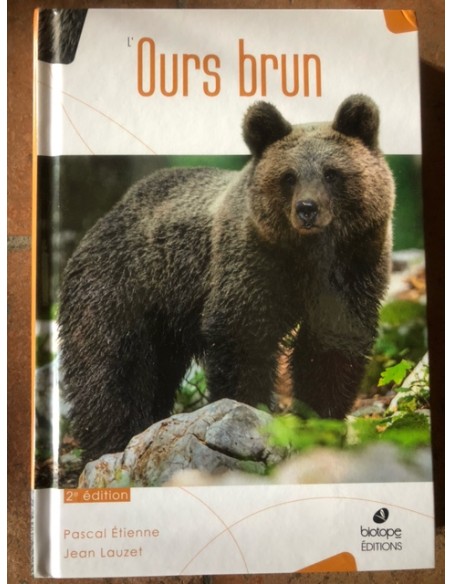 L'Ours brun, exemplaire soldé