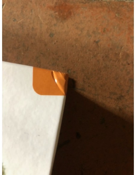 L'Ours brun, exemplaire soldé