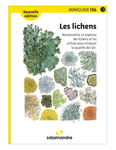 Mini-guide nr. 136 Les lichens