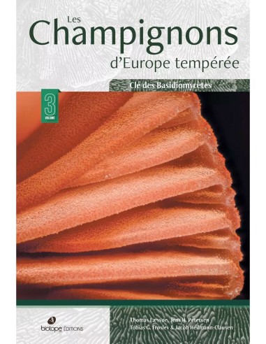 Champignons d'Europe tempérée - Clé...