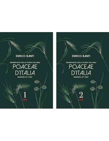 The Graminacee of the Italian Flora -...