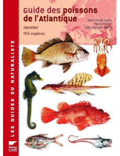 Guide des poissons de l'Atlantique européen