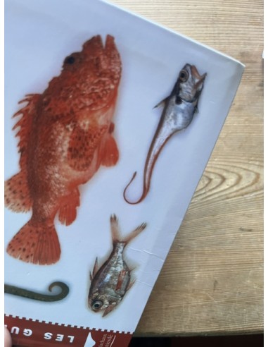 Guide des poissons de l'Atlantique...