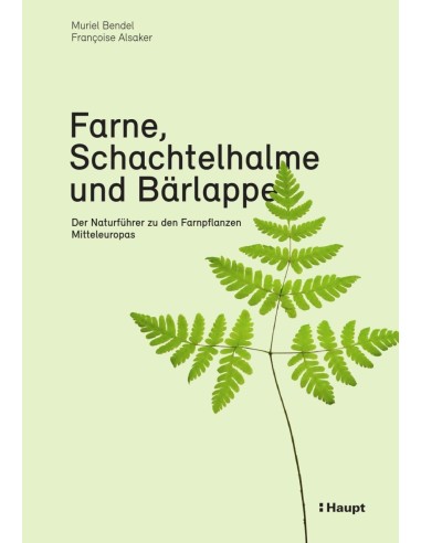 Farne, Schachtelhalme und Bärlappe