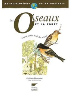 Les oiseaux et la forêt, leur vie secrète au fil des saisons