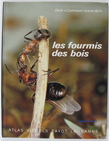 Les fourmis des bois