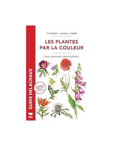 Plantes par la couleur