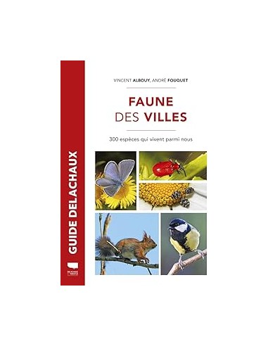 Faune des villes