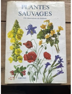 Plantes sauvages