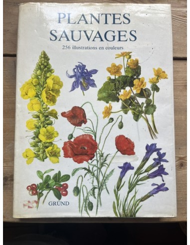 Plantes sauvages