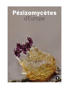 Pézizomycètes d'Europe, vol. 1