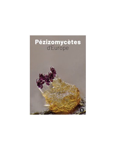 Pézizomycètes d'Europe, vol. 1