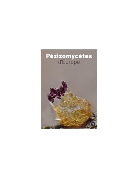 Pézizomycètes d'Europe, vol. 1