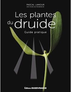 Les plantes du druide