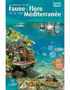 Faune et flore de la mer Méditerranée