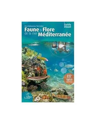 Faune et flore de la mer Méditerranée