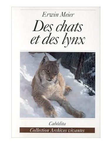 Des chats et des lynx