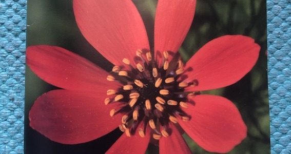 Le catalogue Biotope printemps/été 2025 est arrivé