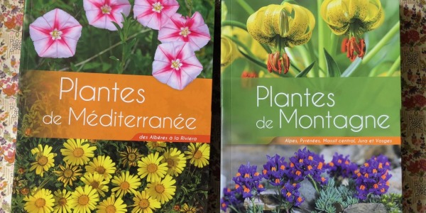 Plantes de Méditerranée