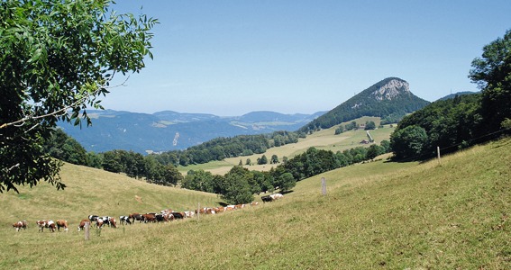 Chemin des Crêtes du Jura, 6e édition