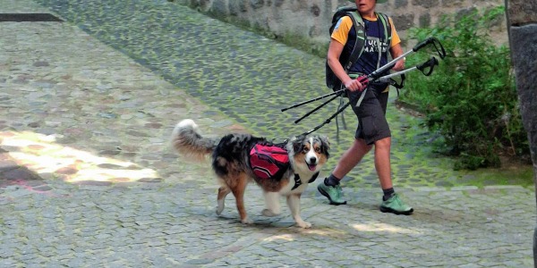 Marcher avec son animal de compagnie, émission On en parle sur la RTS