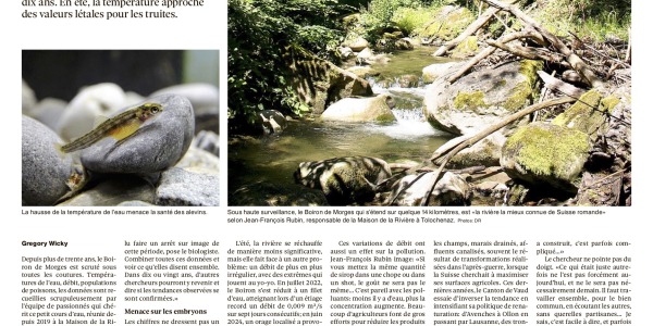 Article sur le Boiron dans 24 Heures