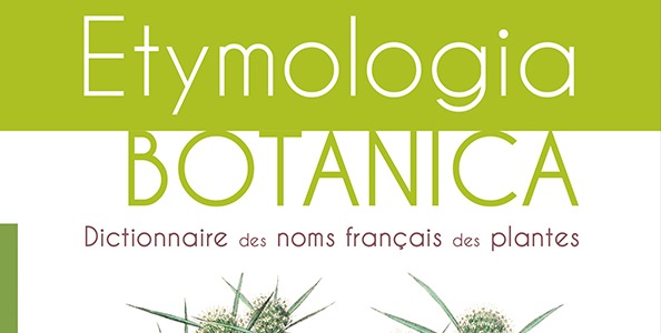 Etymologia botanica