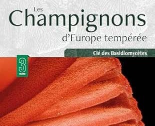 Champignons d'Europe tempérée, T3